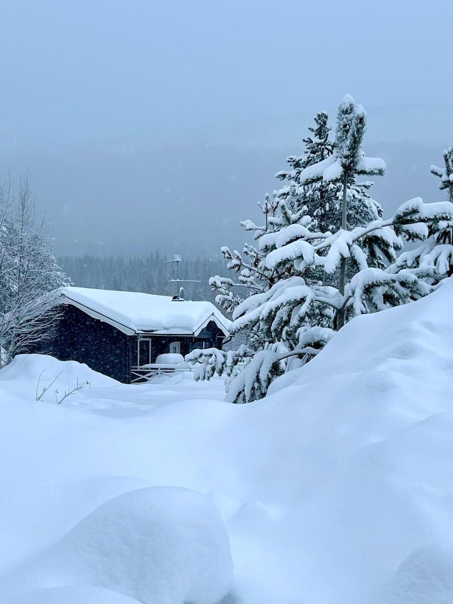 Nymon Mountain Lodge Stoten Bagian luar foto