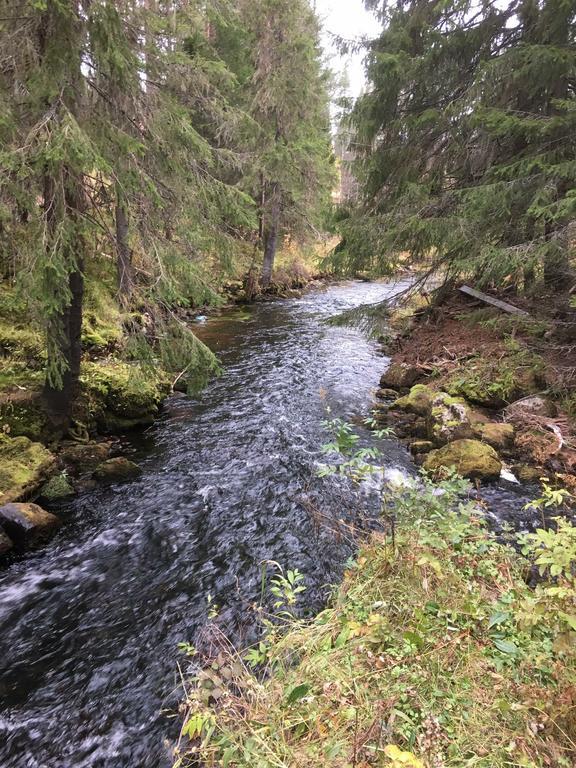 Nymon Mountain Lodge Stoten Bagian luar foto
