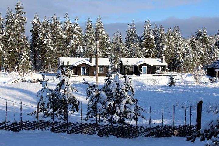 Nymon Mountain Lodge Stoten Bagian luar foto